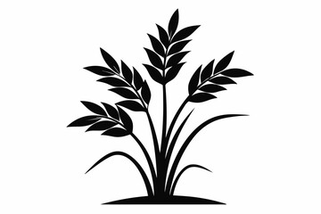 rice plant silhouette line art vector illustration