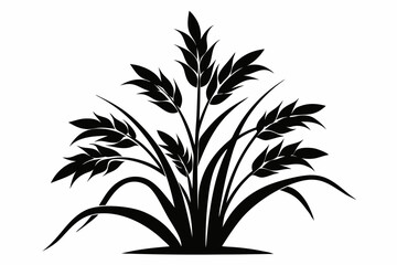 rice plant silhouette line art vector illustration