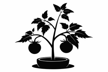 Obraz premium tomato plant silhouette line art vector illustration