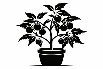 tomato plant silhouette line art vector illustration
