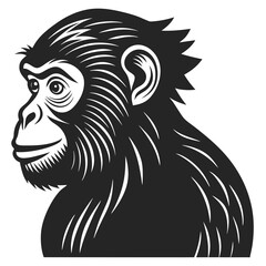 Monkey vector silhouette illustration on white background