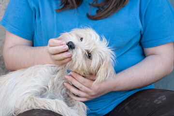 Get your dog to take a deworming pill. Give your pet a deworming pill.