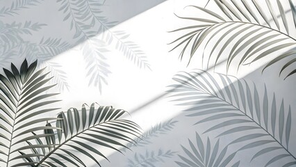 Minimalist Palm Leaf Shadows on White for a Serene Aesthetic V5