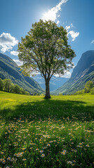 Fototapeta premium A beautiful tree in the middle of an idyllic green valley with mountains and a blue sky.