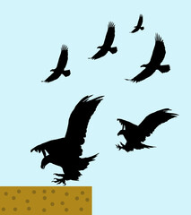 Illustration of shadows of eagles trying to land on the ground