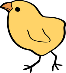 hand drawn cute cartoon character of a chick.