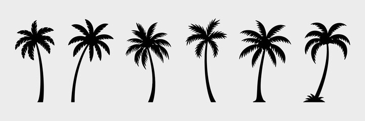 Obraz premium Tropical palm tree silhouettes. Vector set for design