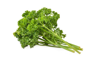 green leaves of parsley isolated on white background