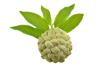 Custard apple isolate on white background
