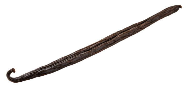 vanilla bean isolated on white background, PNG