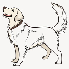 Cartoon Golden Retriever Dog Illustration Standing Portrait Looking Upward With Collar