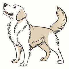 Cute Golden Retriever Dog Cartoon Illustration In Standing Pose And Looking Up