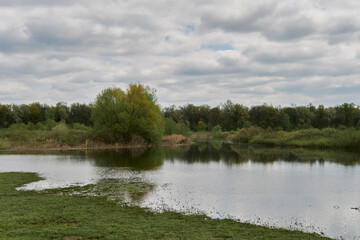Obedska pond - Obedska bara large swamp and forest area and natural reserve along Sava river in Serbia