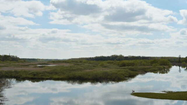 Obedska pond - Obedska bara large swamp and forest area and natural reserve along Sava river in Serbia