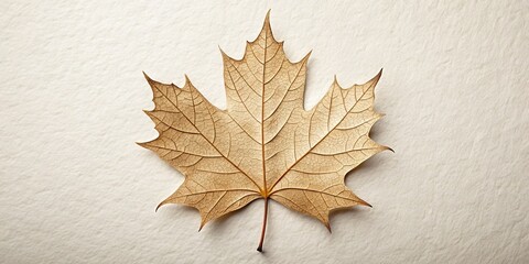 Tilt-Shift Miniature Papercut Maple Leaf - Autumn Fall Leaf Closeup Detail