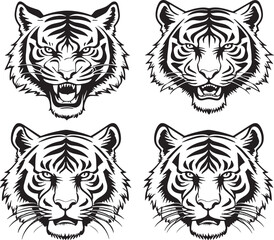 white tiger vector illustration