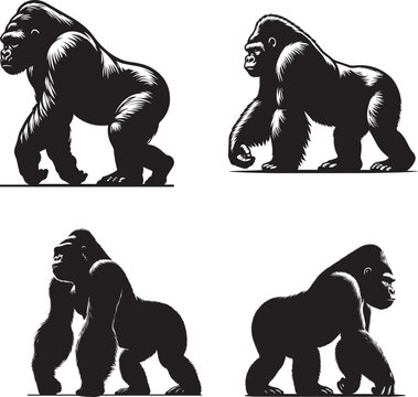 Kiboko Gorilla Vector Illustration &ndash; Bold and Fierce Jungle Animal Art