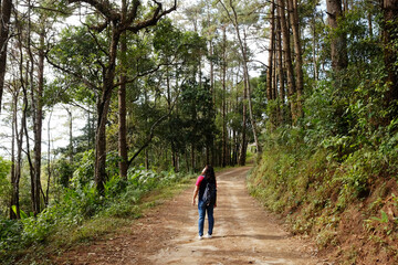 Obraz premium Traveler Asian young girl with bag happy and standing in beautiful pine forest and curve walking route dirty path trail on the mountain in Thailand