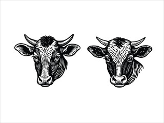 black and white cow Art Illustration