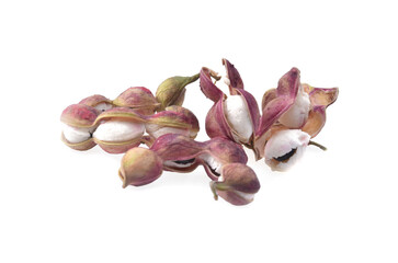 Manila tamarind fruit isolated on white background.