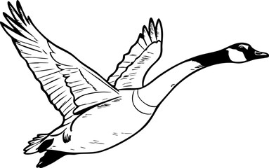 Canada day celebration natural habitat wildlife outdoor scene aerial view cultural heritage