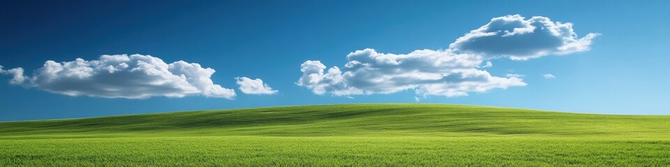 Fototapeta premium A gently rolling landscape of green fields under a radiant blue sky. The fluffy clouds add interest while leaving a wide-open space for text placement.