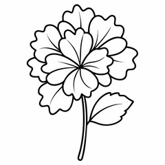 geranium flower on white background