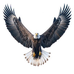 Obraz premium Majestic Bald Eagle Soaring Against a Dark Background in Flight