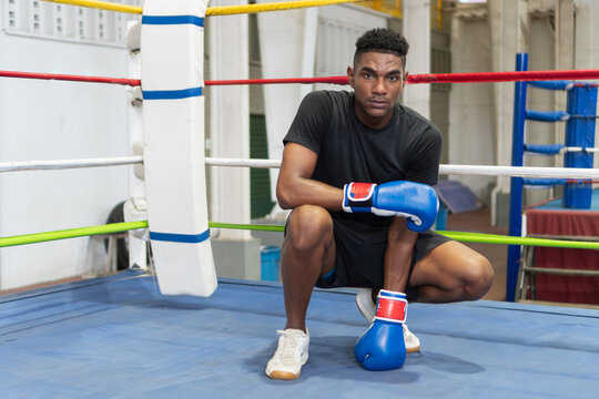Boxer wearing boxing gloves crouching in boxing ring corner - Powered by Adobe