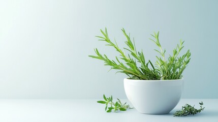 Obraz premium Fresh Rosemary and Herbs in a Bowl: A Culinary Still Life