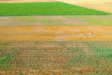 aerial drone view of variety crops creating color texture mosaic across fields Agricultural concept background texture