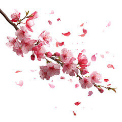 Naklejka premium Cherry blossom branch #74 with petals ? Creative Layout