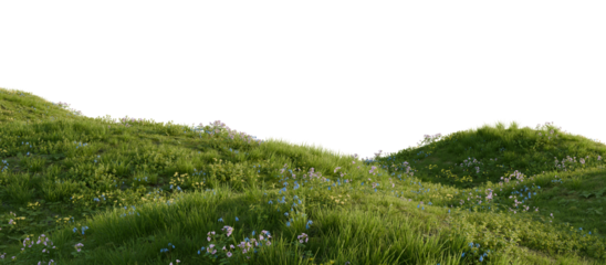 Hills with grass on a transparent background. 3D rendering.	
