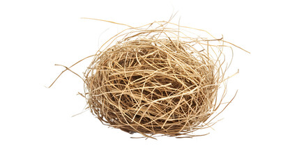 Isolated Single Tumbleweed on White Background for Design Projects