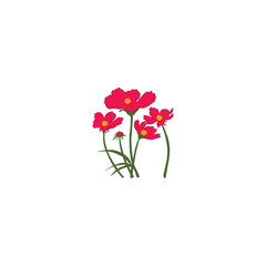 Nature flower with vector 