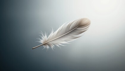 Obraz premium Captivating feather floating gracefully serene background minimalist image soft lighting ethereal concept for calming ambiance