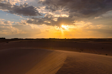 Fototapeta premium Beautiful clouds sunset sunrise with beautiful date palm tree in the desert sand dune Oasis