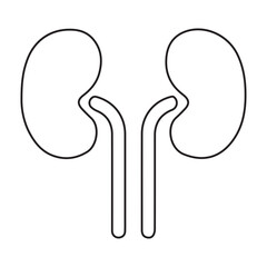 kidneys line icon