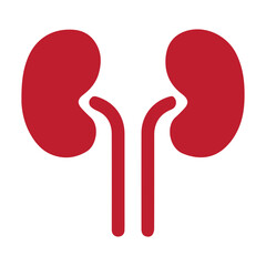 kidneys colored icon