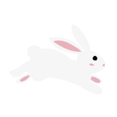 cute white rabbit flat vector illustration set