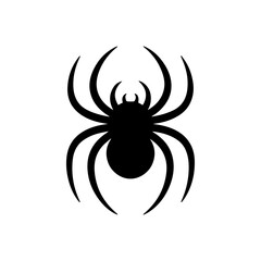 Black spider on white background