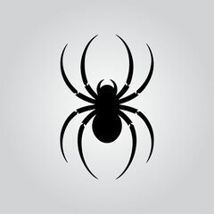 Black spider on white background