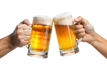 Two Hands Holding Beer Mugs Clinking Together in Celebration against White Backdrop