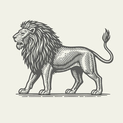 Lion. Vintage woodcut engraving linocut style vector illustration. © RetroVector