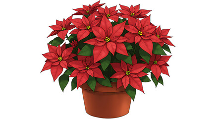 A poinsettia plant with red bracts and green leaves in a brown pot on a black background scene image