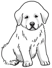 Fototapeta premium グレートピレニーズ 仔犬 白黒 犬のイラスト great pyrenees