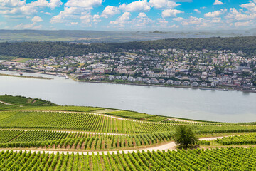 Rhine River valley, top view.  Germany