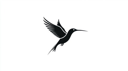 Fototapeta premium Hummingbird in Flight, Simple Design
