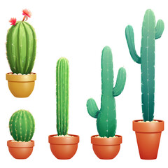 Modern Plant Arrangements