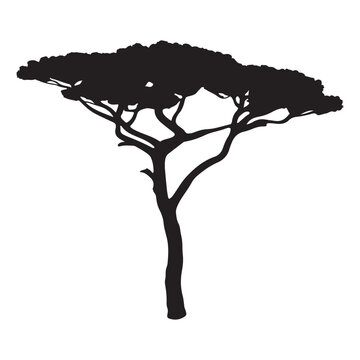 Tree vector silhouette